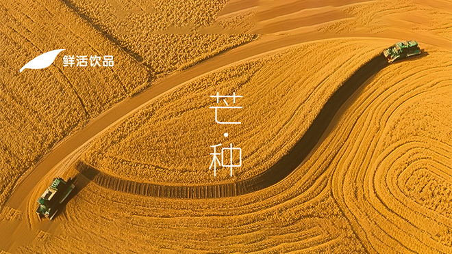 芒種丨忙而不茫，種有回響