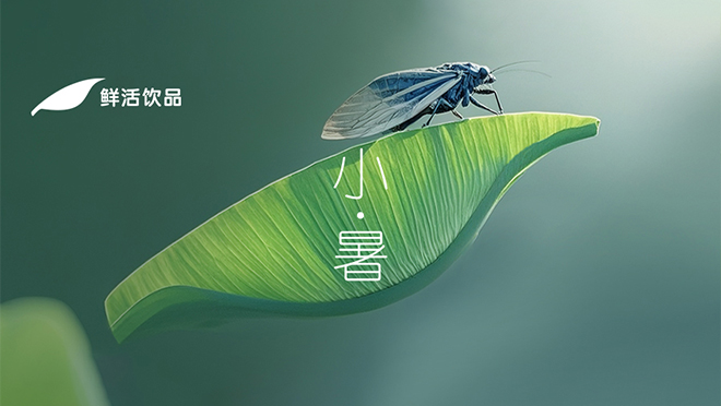 小暑丨風(fēng)過檐角，夏淺情長(zhǎng)