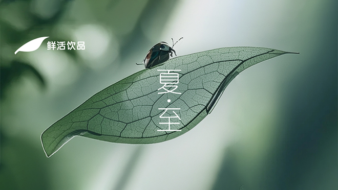 夏至丨晨露清響，向光而長(zhǎng)